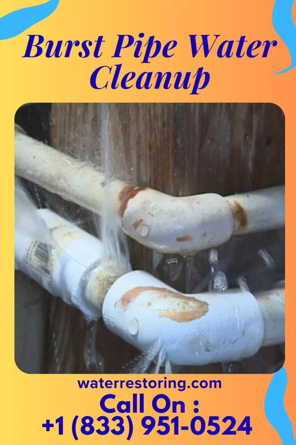 Burst Pipe Water Cleanup in Rich Creek, VA