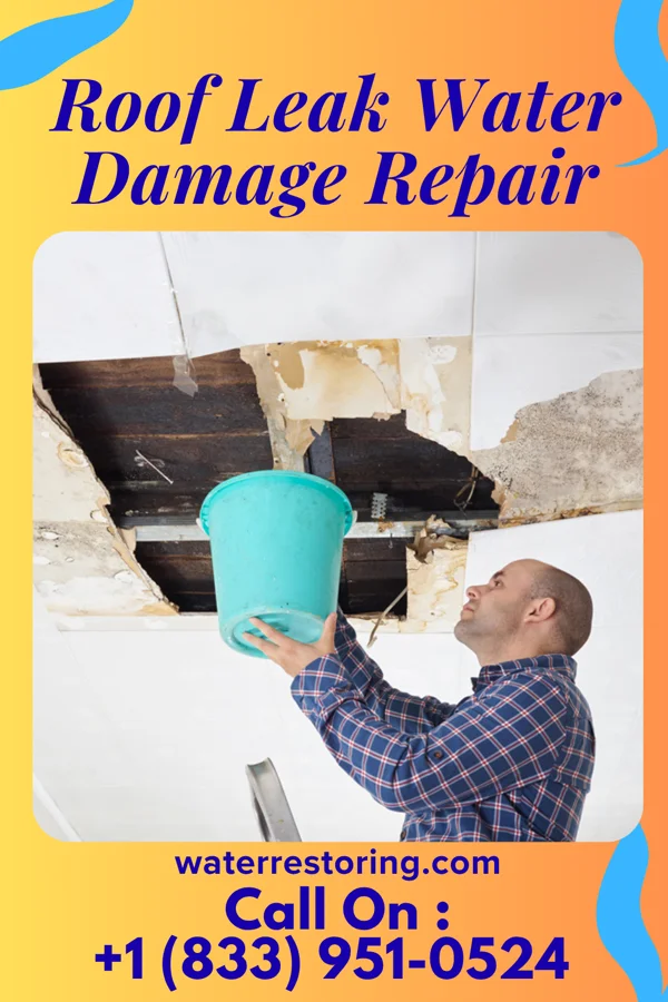 Roof Leak Water Damage Repair in Rich Creek, VA