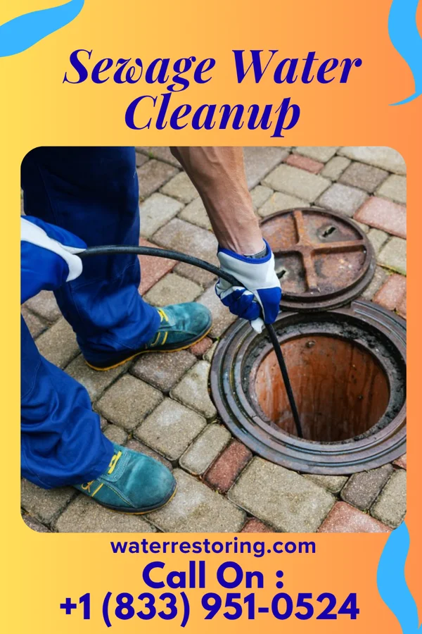 Sewage Water Cleanup in Rich Creek, VA