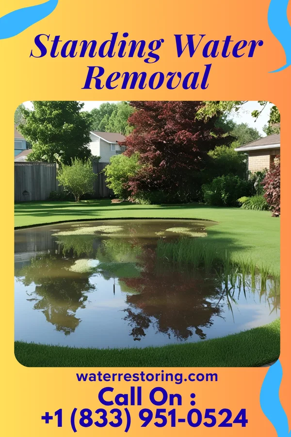 Standing Water Removal in Rich Creek, VA